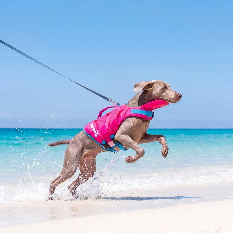 Chaleco salvavidas para perros – Flotador ajustable para playa y natación - imagen 4