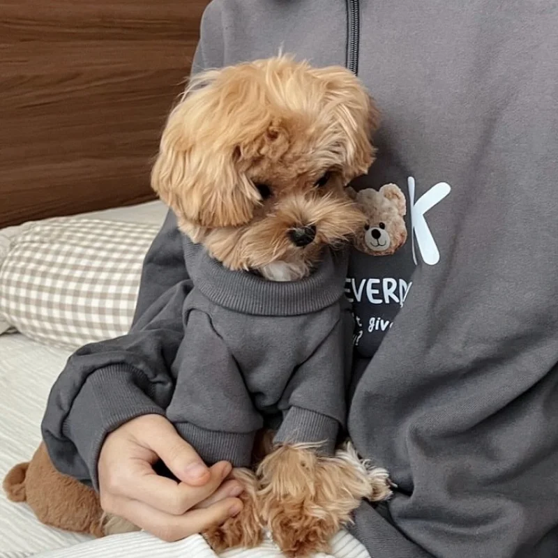 Sudadera con osos para perros y gatos – ropa de otoño