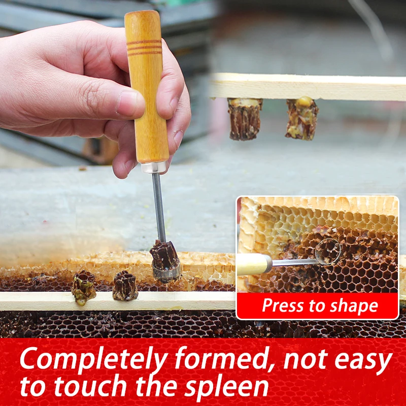 Cortador de base de peine en detalle