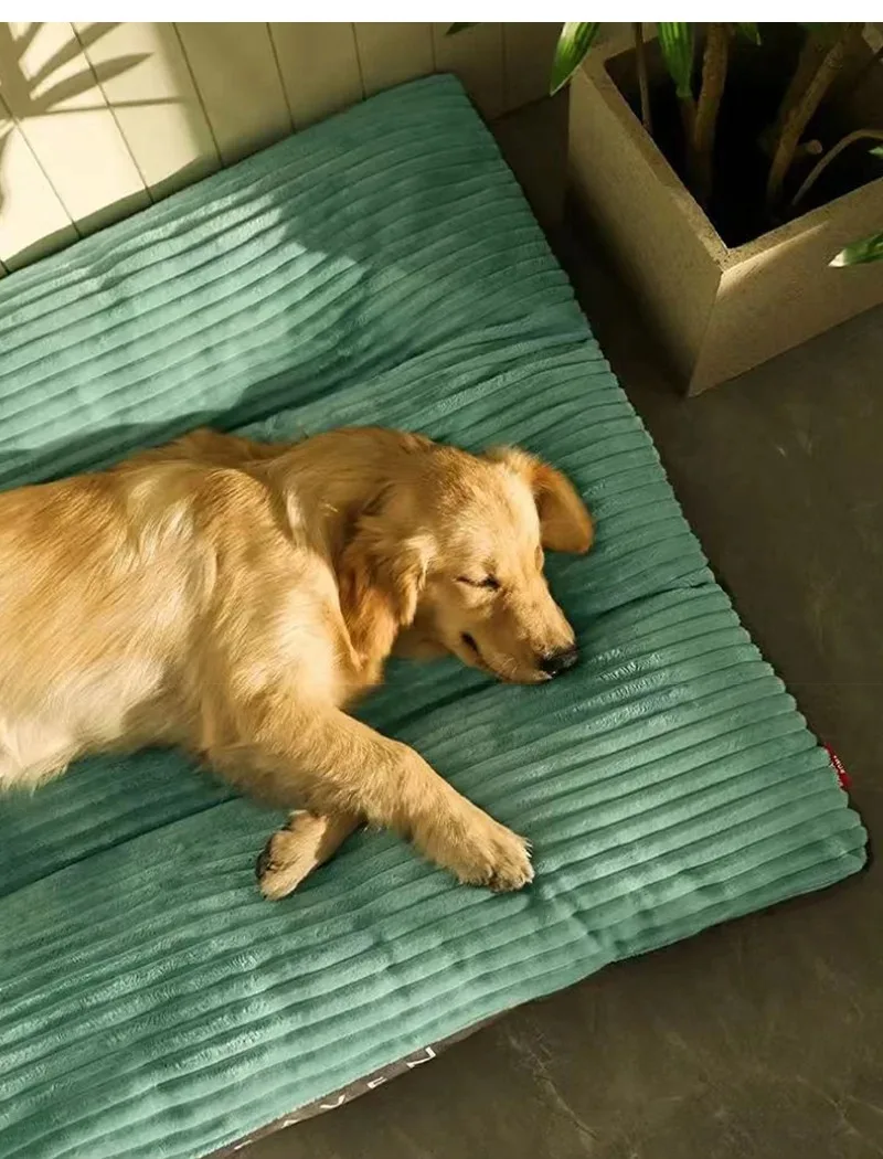 Cama junto a juguete para perro