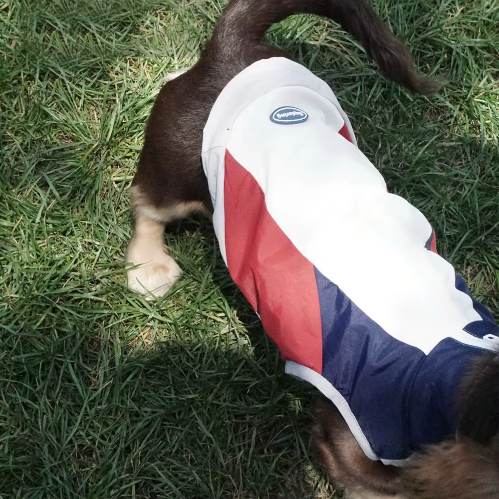 Camiseta refrigerante UPF100+ con cremallera para perro Teckel - imagen 4