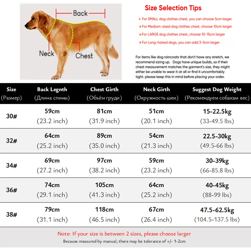 Perro grande con mono impermeable en exterior nevado