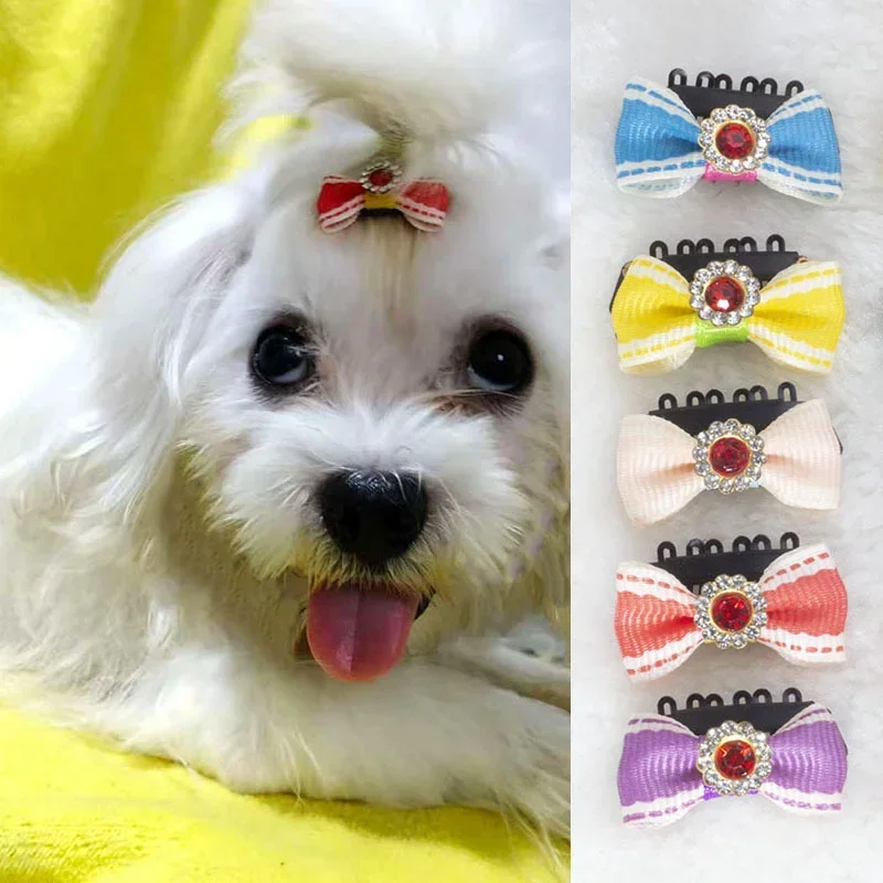 Pinza con lazo a rayas y detalle brillante para mascotas