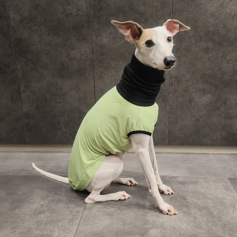 Chaleco transpirable con protección solar para perros Whippet y Galgo