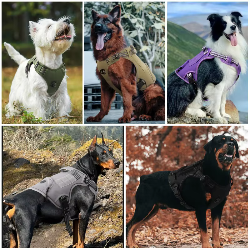 Arnés táctico antitirones reflectante para perros grandes - imagen 3