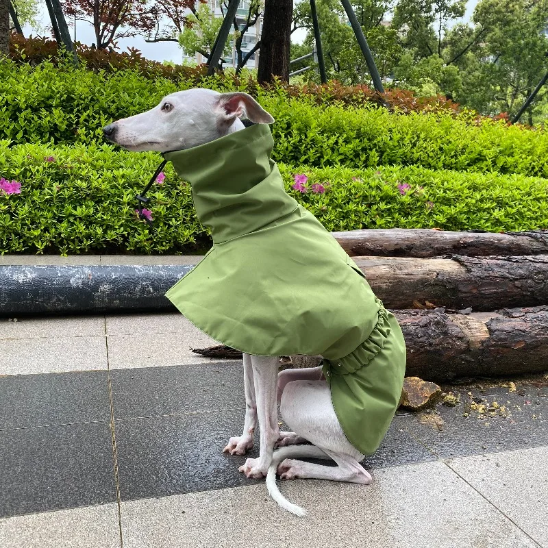 Chubasquero Impermeable para Perros – Ideal para Paseos y Exteriores - imagen 3