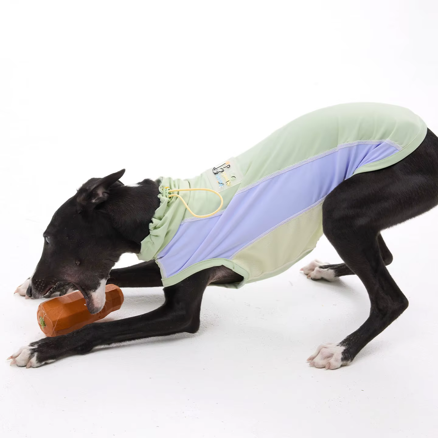 Chaleco solar para perros Italian Greyhound – Ultraligero y transpirable
