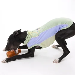 Chaleco solar para perros Italian Greyhound – Ultraligero y transpirable