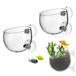 Cilindro vidrio cultivo plantas acuario con ventosas terrario