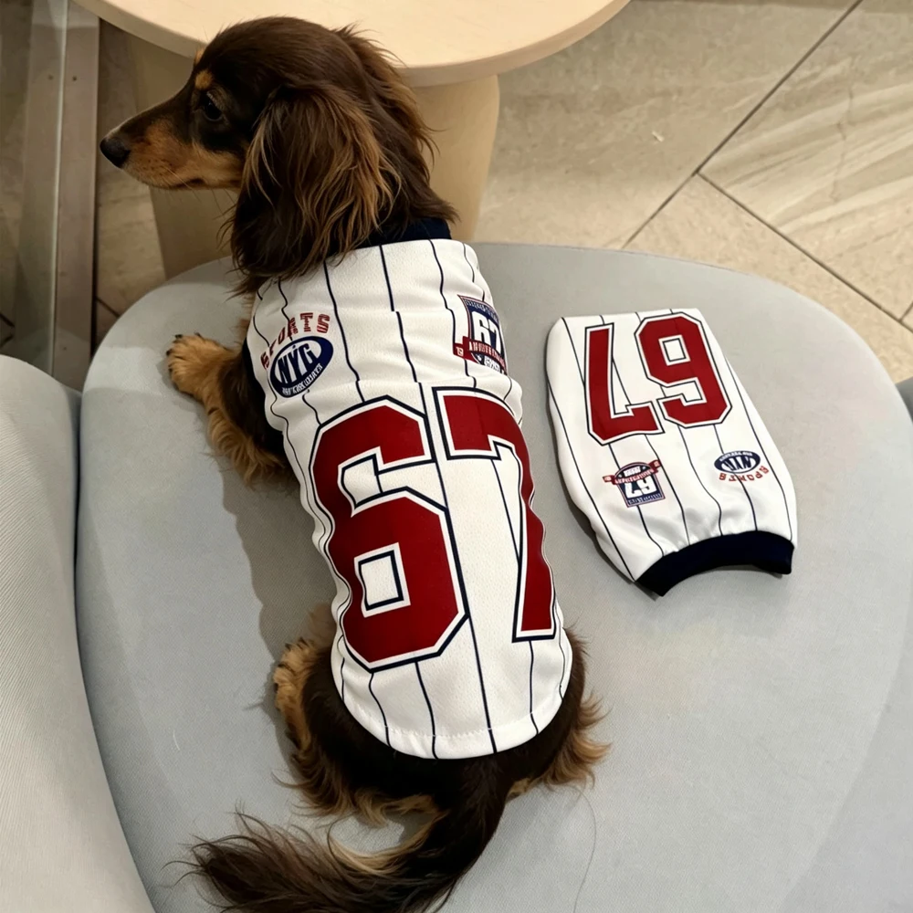 Camiseta deportiva transpirable de malla para Dachshund salchicha - imagen 5