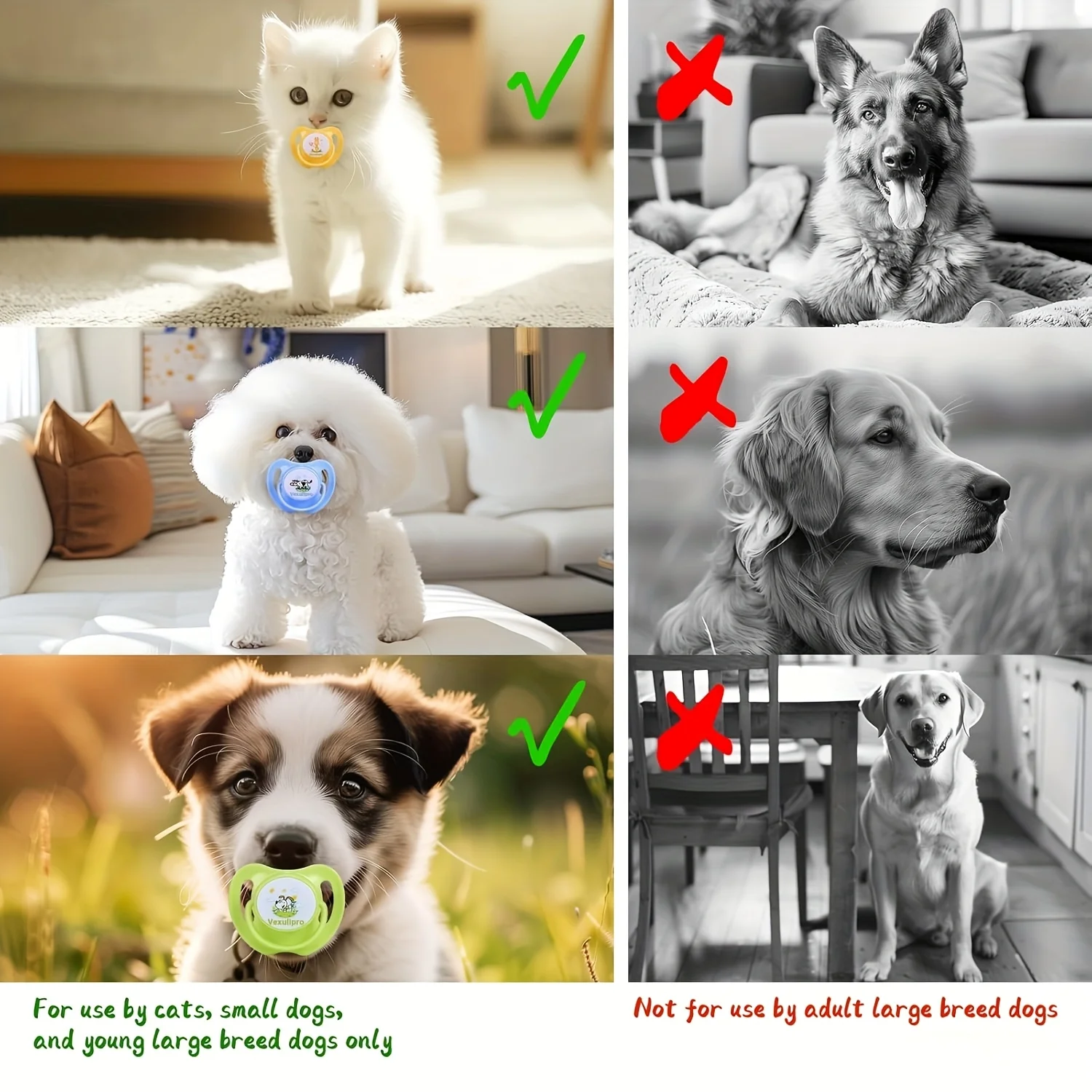 Juguete interactivo para perros