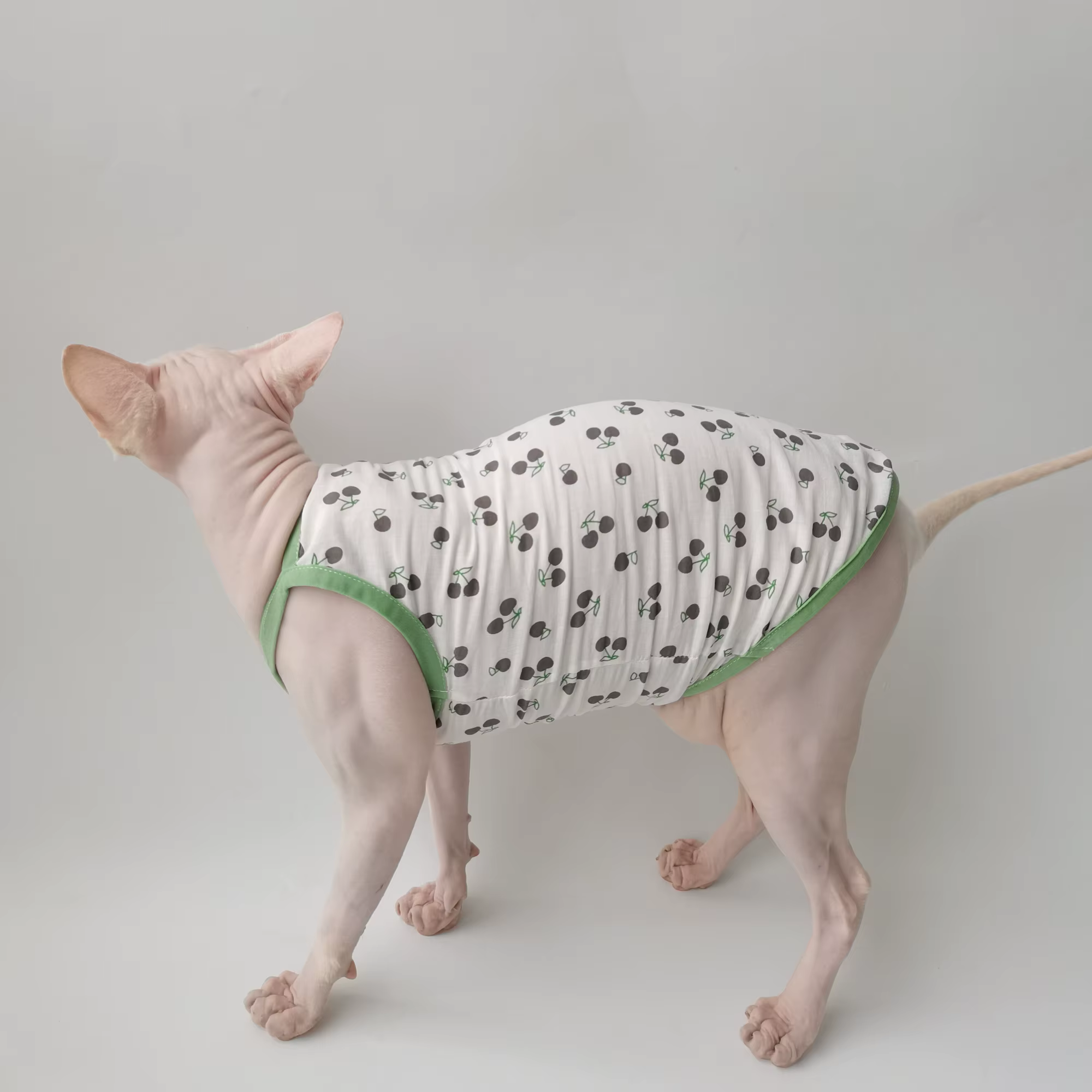 Camiseta de algodón para gatos Sphynx sin pelo con estampado de cerezas - imagen 2