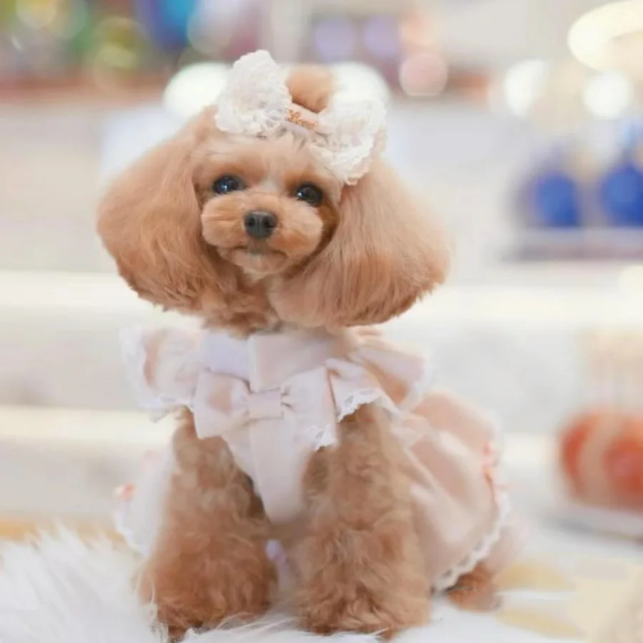 Vestido sin mangas para cachorro raza pequeña
