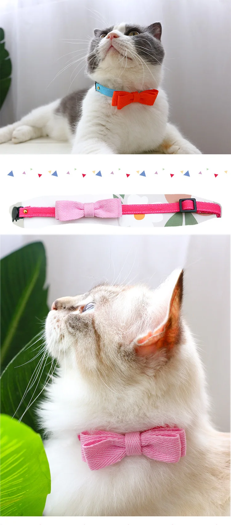 Collar decorativo para perros y gatos