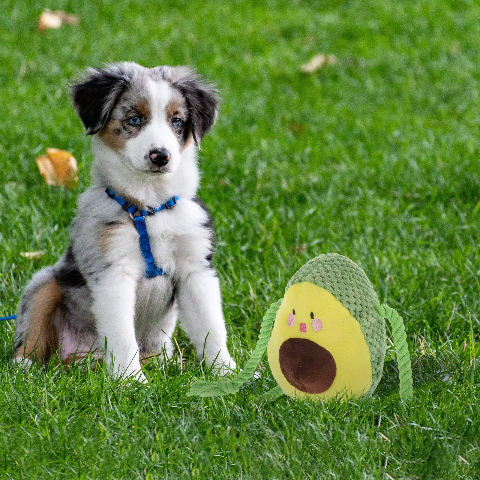 Juguete chirriante masticable para perros: pulpo con peluche - imagen 5