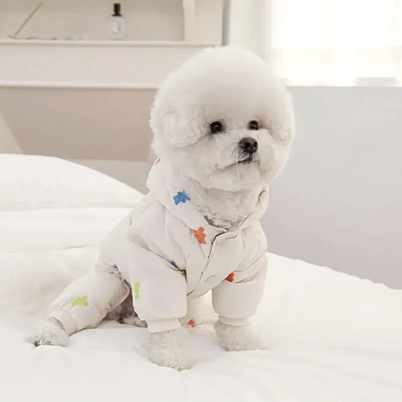 Perro usando el abrigo con estampado de osito