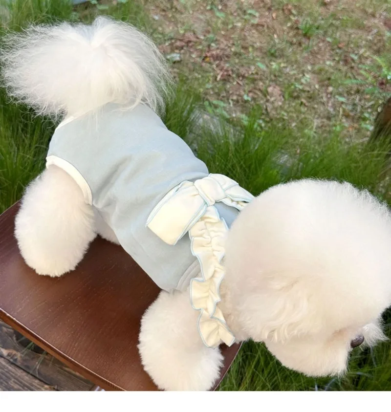 Vestido de calabaza para mascotas en diferentes ángulos