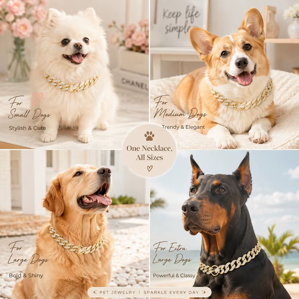Collar de cadena elegante con pedrería para perros y gatos - imagen 2