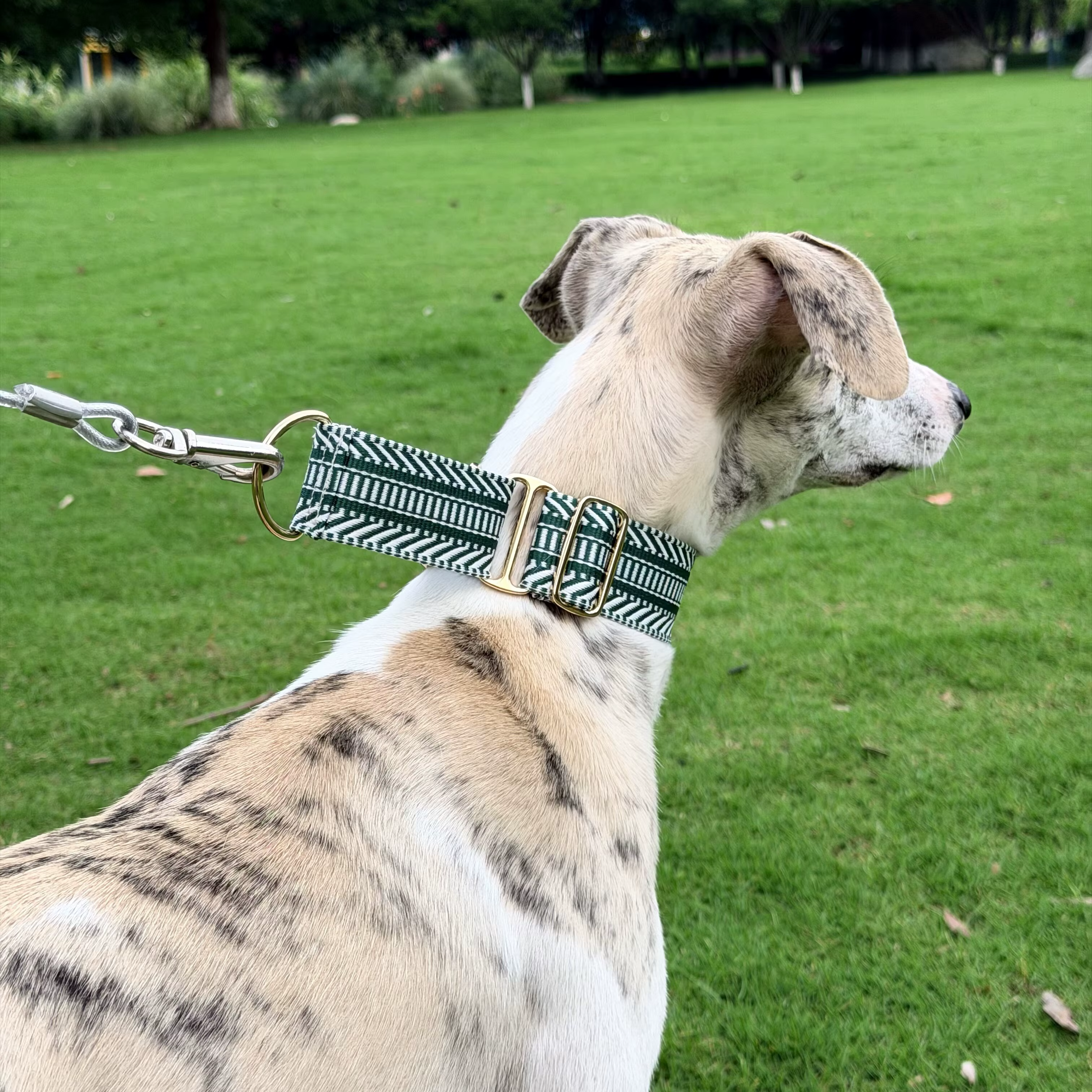 Collar suave ajustable para perros: Whippet y Galgo, seguro - imagen 2