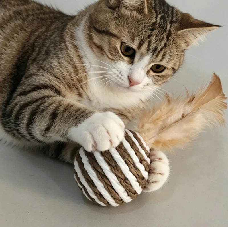 Set de juguetes de plumas para gatos con múltiples piezas