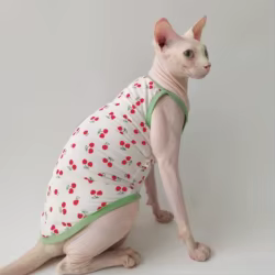 Camiseta de algodón para gatos Sphynx sin pelo con estampado de cerezas