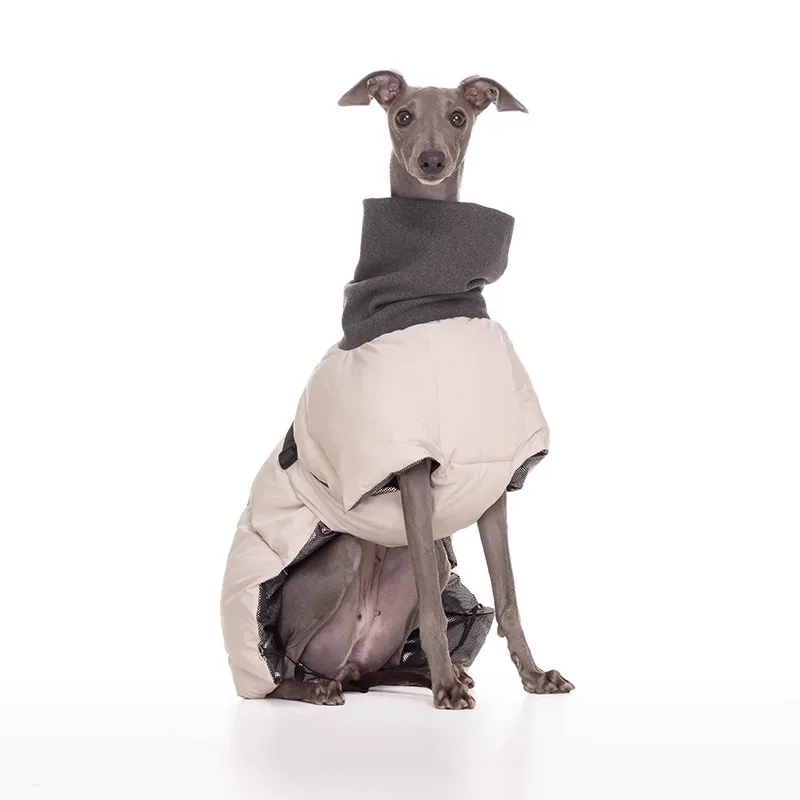 Perro usando el abrigo en posición lateral