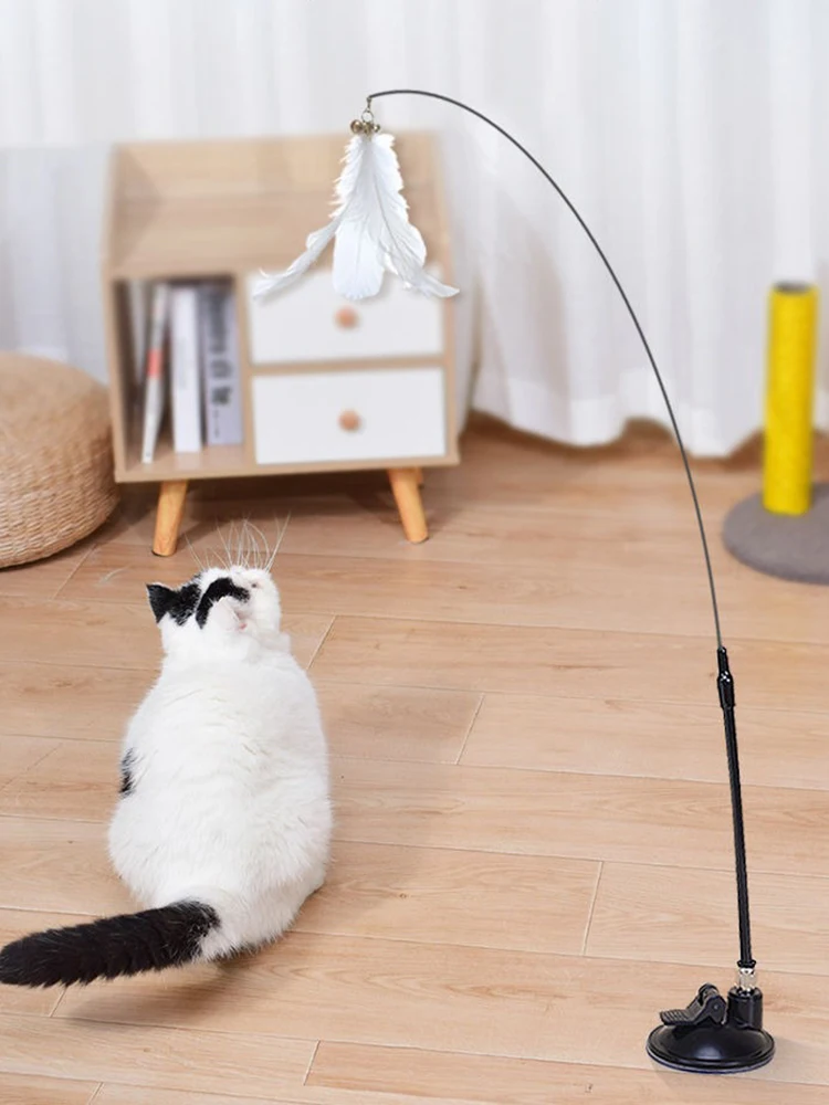 Ventosa fuerte para juego interactivo felino