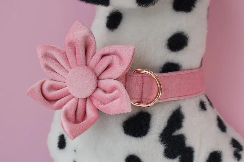 Colores y acabados disponibles