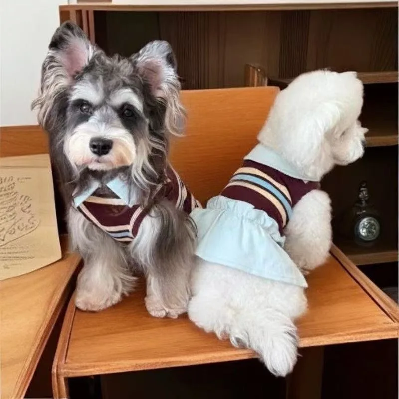 Chaleco para perro pequeño en el jardín