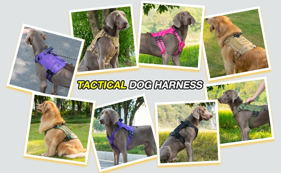 Vista frontal del chaleco táctico para perro