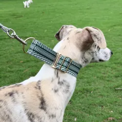 Collar suave ajustable para perros: Whippet y Galgo, seguro