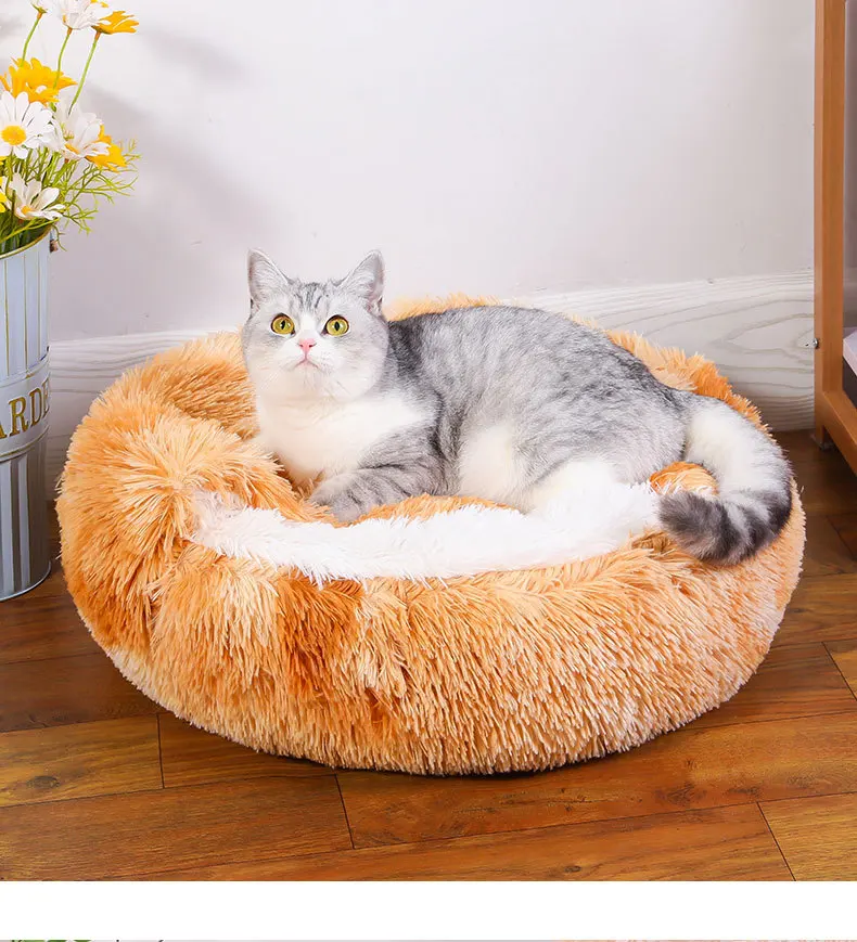 Cama de felpa para gatos en interior