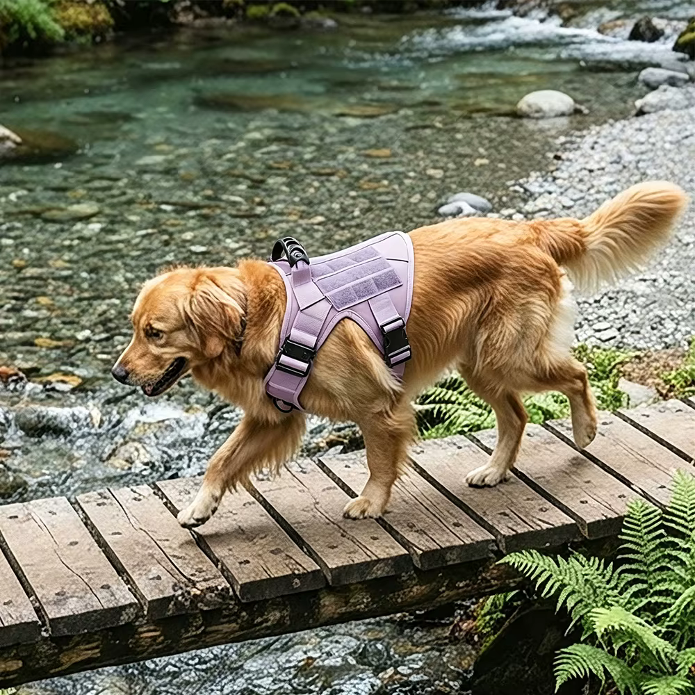 Arnés Táctico Morado para Perro con Asa y Correa Elástica – Ajustable - imagen 5
