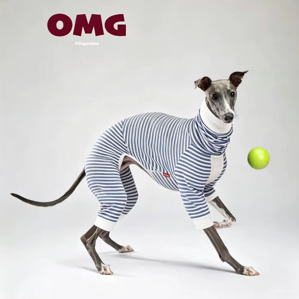 Sudadera a rayas para galgo y whippet cuello alto - imagen 4