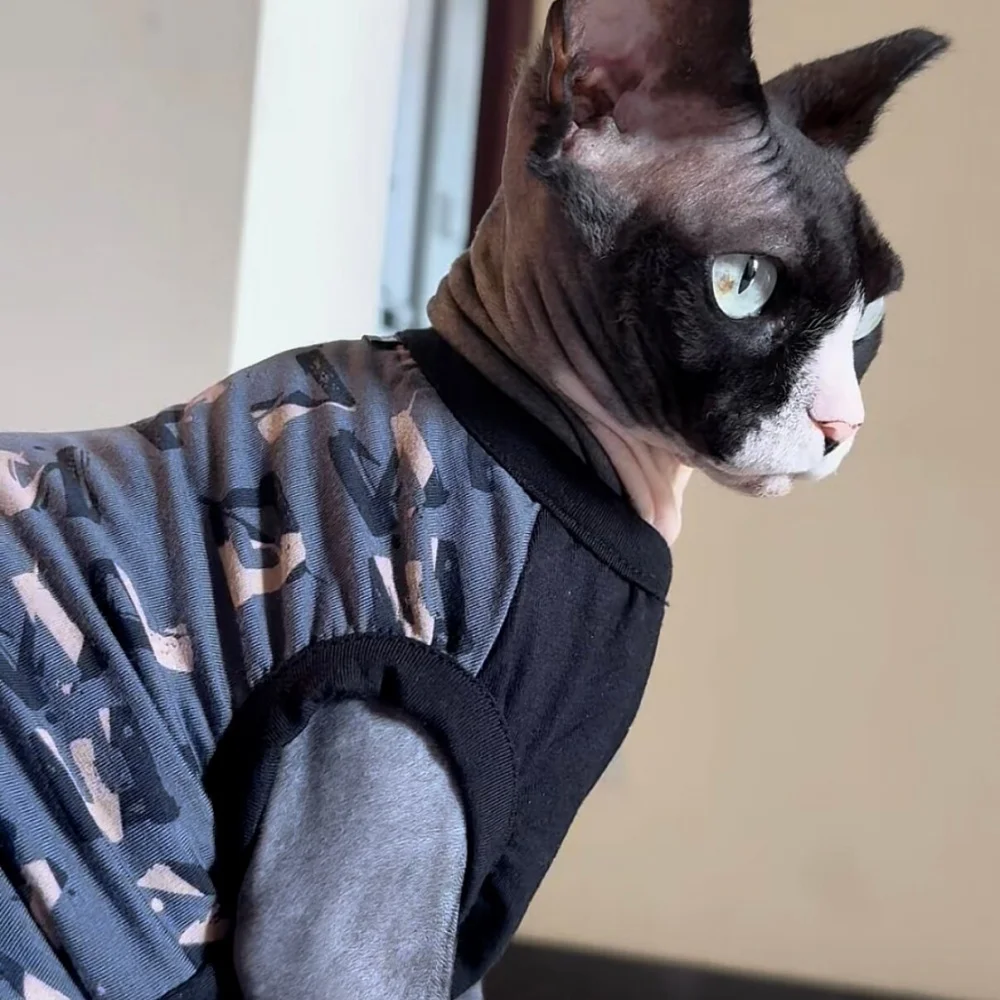 Camiseta de algodón para gatos Devon Rex y Sphynx, verano - imagen 4