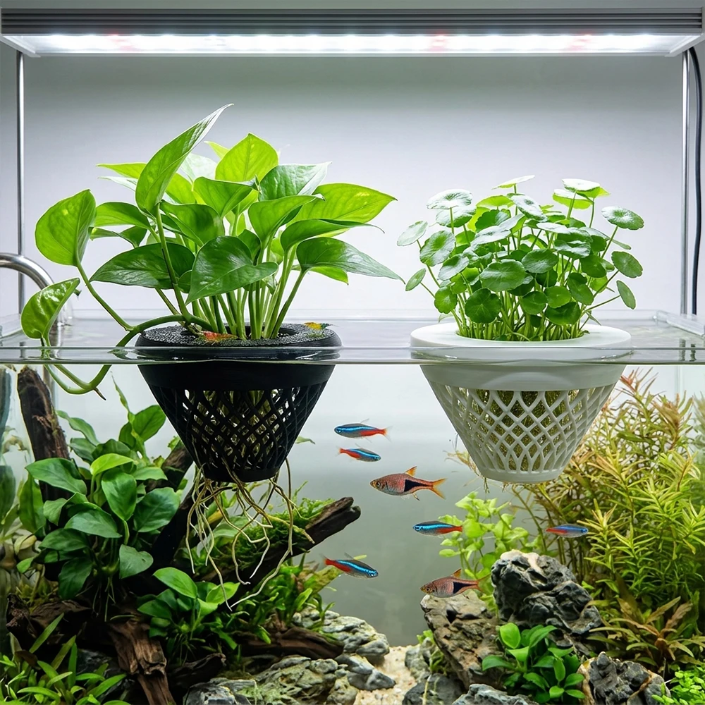 Soporte flotante para plantas de acuario: cesta filtrante - imagen 2