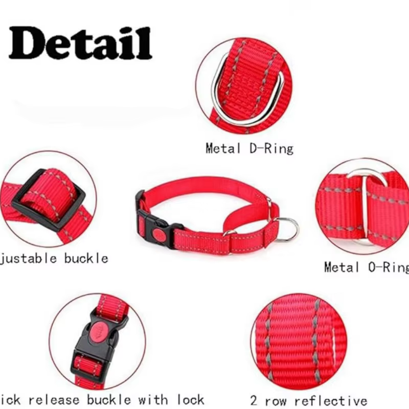 Collar Martingale Reflectante para Perro – Antitirones y Antiestrangulamiento - imagen 5