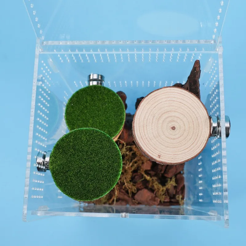Uso en terrario arbóreo