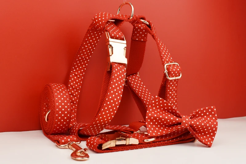 Set completo collar y correa perro