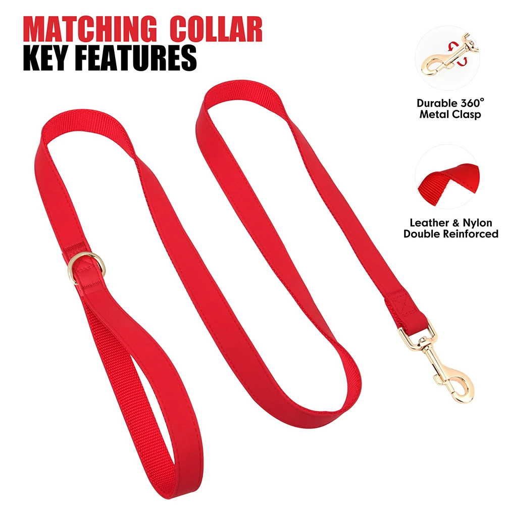 Juego de paseo para perro: collar con hebilla, arnés, correa y bolsas - imagen 3