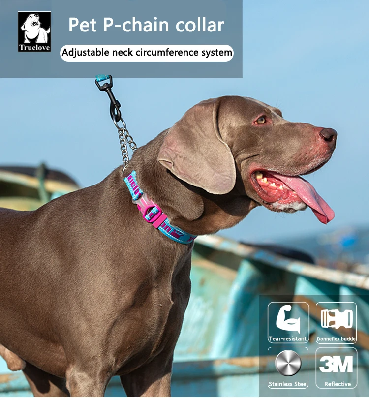 Collar Truelove reflectante vista frontal