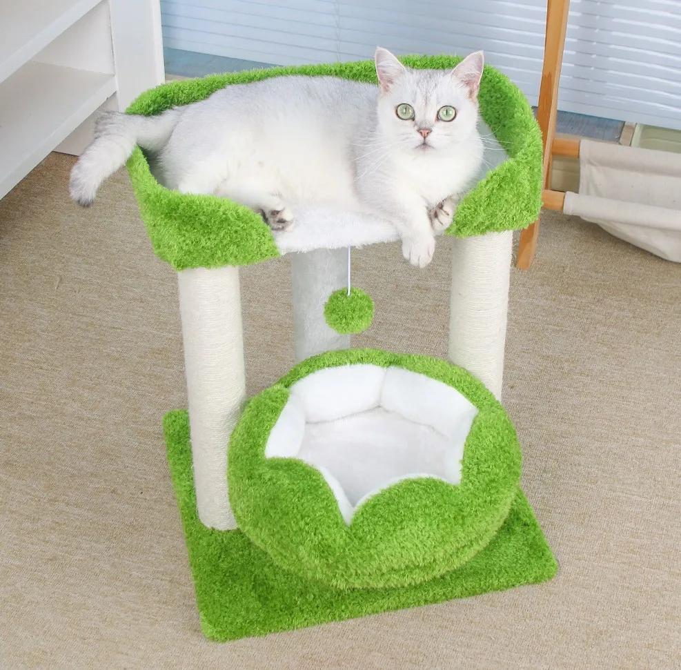 Vista frontal del árbol rascador para gatos NIU DU RUI