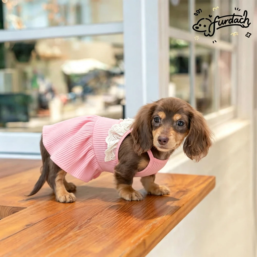 Vestido algodón verano para perro Dachshund – Falda rosa suave - imagen 5
