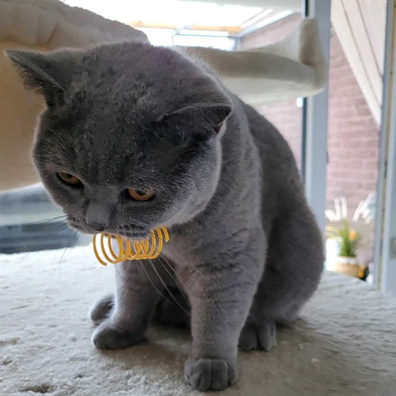 Pack de resortes coloridos para gatos