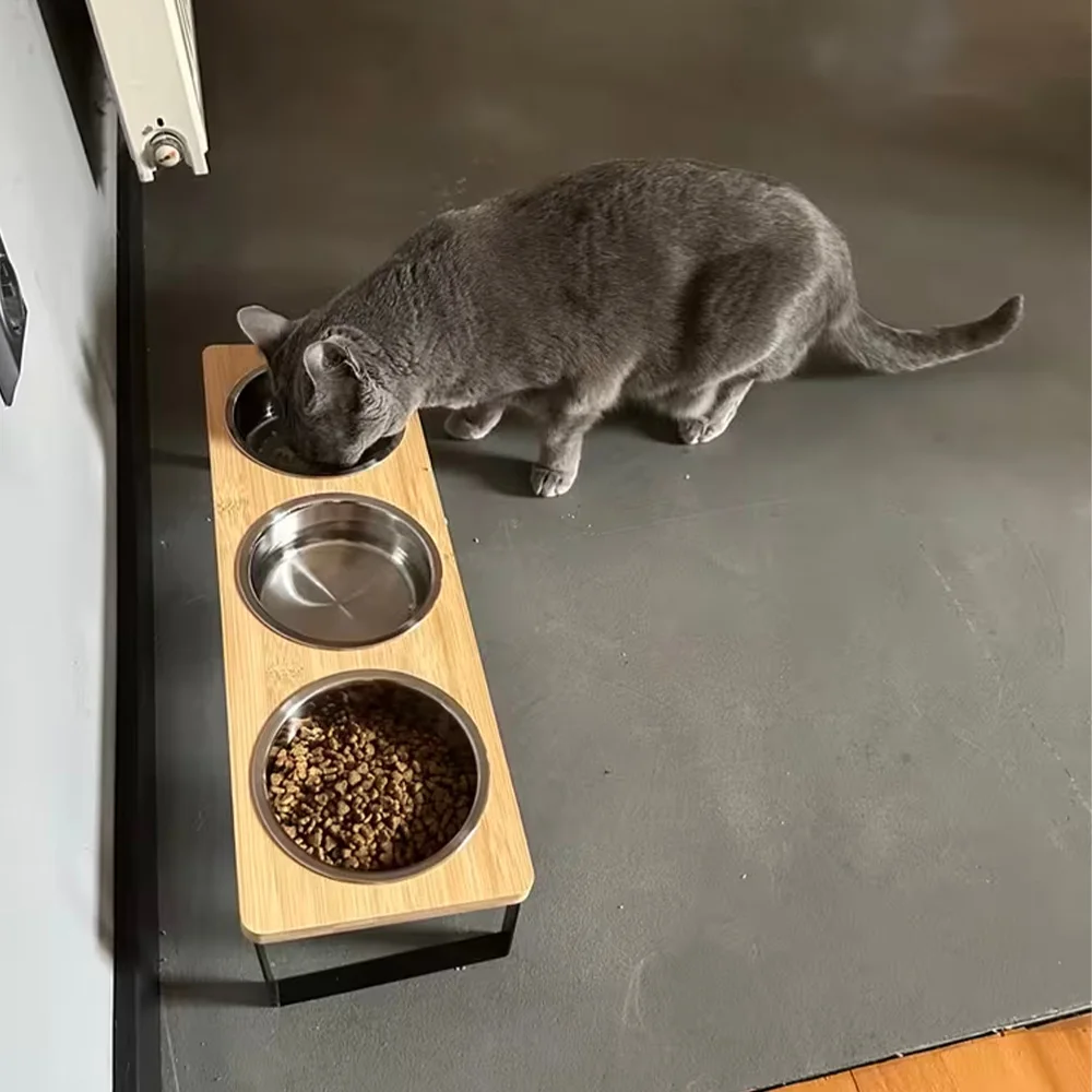 Comedero elevado inclinado para gatos y perros pequeños, con acero - imagen 3