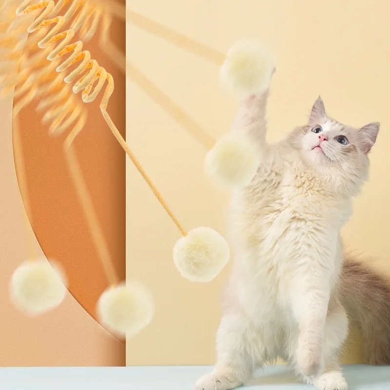 Gato interactuando con la bola