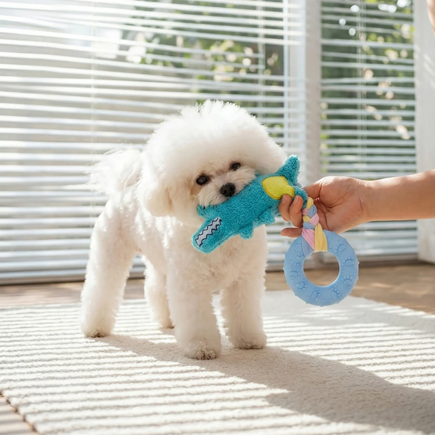 Anillo Mordedor con Sonido para Perros Pequeños – Dentición Bichón Frisé y Cachorros - imagen 4