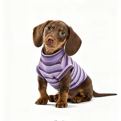 Camiseta a rayas de algodón para perro salchicha, chaleco
