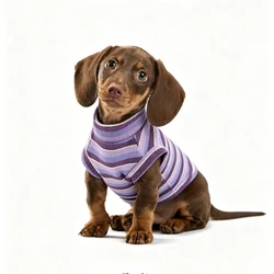 Camiseta a rayas de algodón para perro salchicha, chaleco