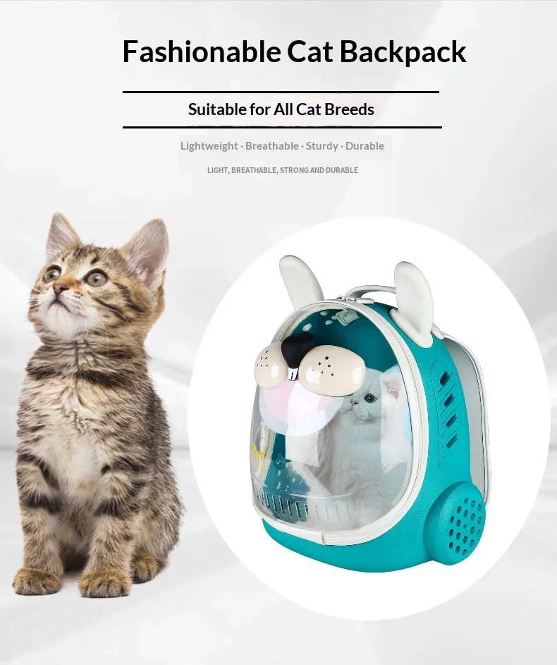 Mochila transportadora transparente panorámica para gatos